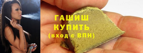 стаф Алзамай