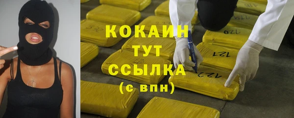стаф Алзамай