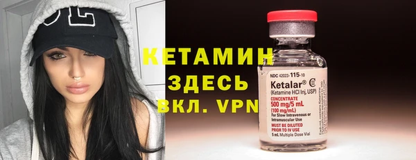 стаф Алзамай