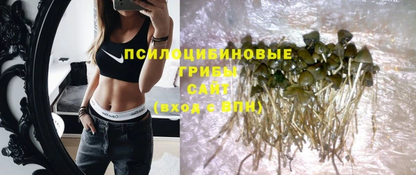 стаф Алзамай