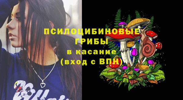 Альфа ПВП Алексин