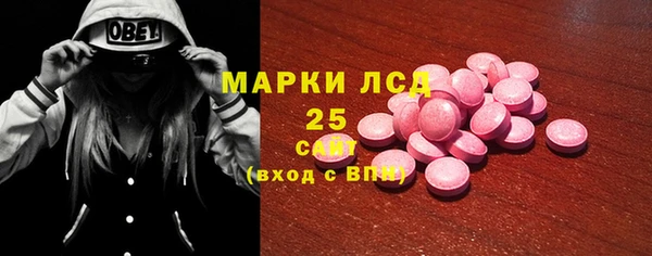 стаф Алзамай
