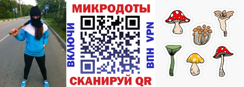 Псилоцибиновые грибы Psilocybe  OMG ТОР  Новодвинск 